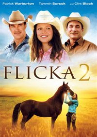 Флика 2 (2010)