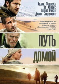 Путь домой (2010)