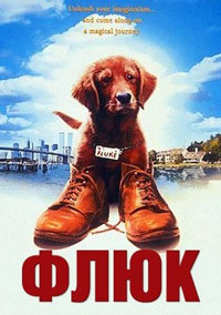 Флюк (1995)