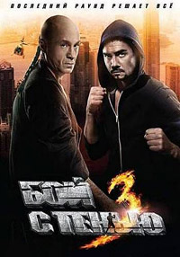 Бой с тенью 3D: Последний раунд (2011)